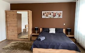 Apartmány Černý Tulipán #3